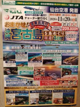 おまかせ！宮古島５島めぐり　周遊４日間